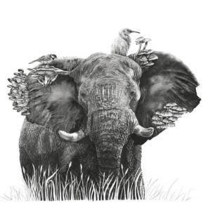 Original art on paper for sale