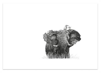 Kendall-Leigh Nash, Symbiosis, graphite drawing of an African elephant surrounded by birds, fungi and grasses.