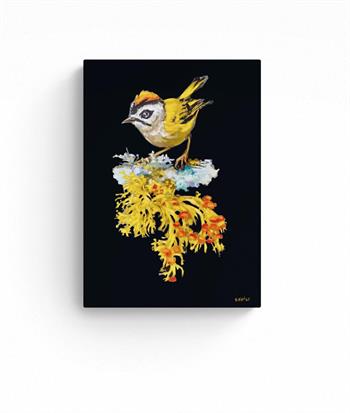 Detailed painting of a Roitelet à triple bandeau bird by Grace Kotze