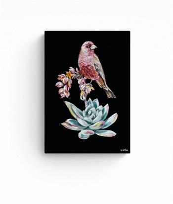 Detailed painting of a great rosefinch (Carpodacus rubicilla) by Grace Kotze