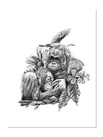 Kendall-Leigh Nash, Go Gently Now, graphite drawing of an orangutan embracing its young, surrounded by kingfishers, flowers and foliage.