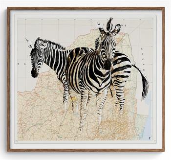 Painting on vintage map of two zebra titled Krguer Z by Lisette Forsyth