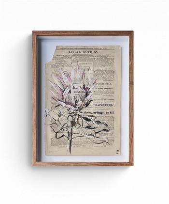 Lisette Forsyth, Strong, acrylic and ink protea painted on a historic 1860 Government Gazette.