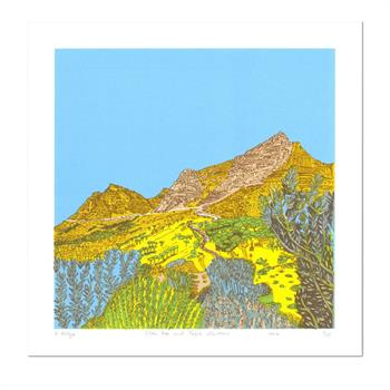 Graphic style artwork depicting the unique flora and dramatic landscape of Table Mountain