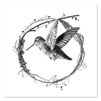 Kendall-Leigh Nash, Hummingbird, graphite drawing of a hummingbird in flight framed by a botanical wreath.