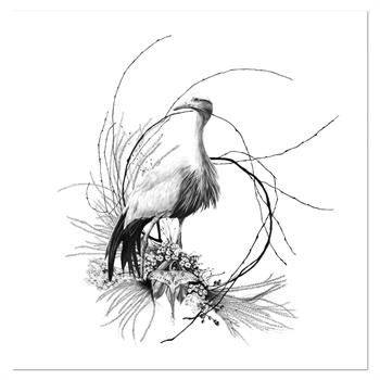 Blue Crane by Kendall-Leigh Nash, detailed graphite drawing of a blue crane standing among indigenous botanical forms, ferns, flowers and a moth, rendered in a hyperrealistic style.