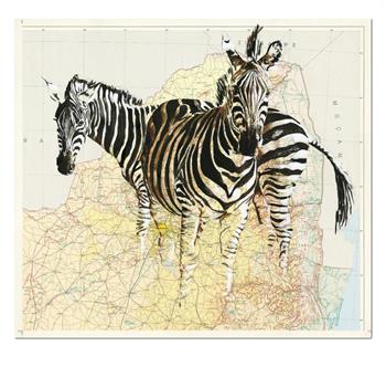 Limited-edition print of two overlapping zebras against a map of southern Africa, titled Kruger Z by Lisette Forsyth.