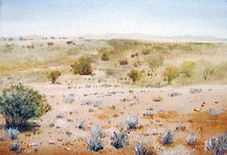 Camdeboo Plains - Painting by Joanne Reen