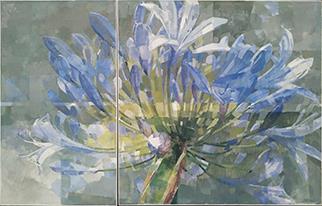 Agapanthus (diptych) - Painting by Jeannie Kinsler