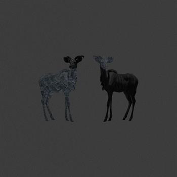 drawing of two different antelope on a dark background