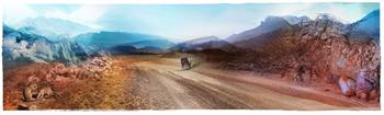 Gamka - Namib Roadside Moment ed.1/5 - Digital Collage by Janet Botes