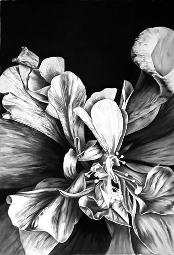 hyper-realistic charcoal drawing of flower petals