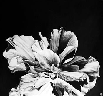 Hibiscus VI - Drawing by Kendall-Leigh Nash