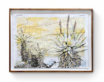 painting of aloes on vintage map of South Africa