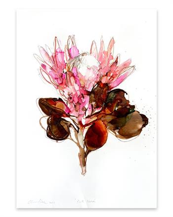 original painting on paper of a pink protea flower
