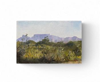 small artwork of Table Mountain painted from Grotto Bay