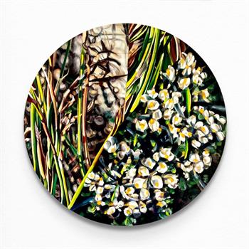 detailed botanical painting on a round canvas by Claudia Gurwitz