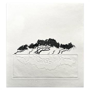 Sentient XIII - Handmade Print by Laurel Holmes
