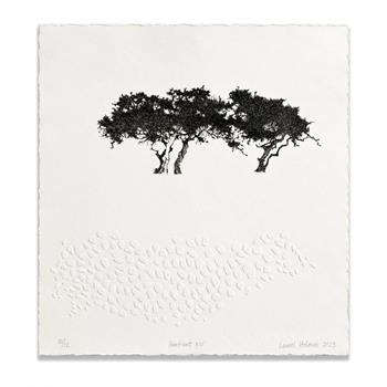 Laurel Holmes Sentient XIV, black etching of intertwined trees above white embossed pebbles on fine art paper.