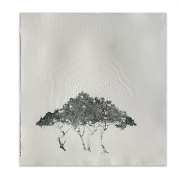 drypoint etching with embossing on paper of trees