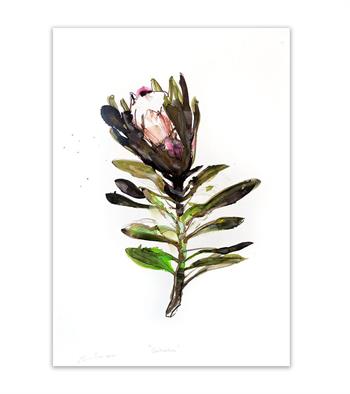 painting on paper of a Suikerbos protea flower