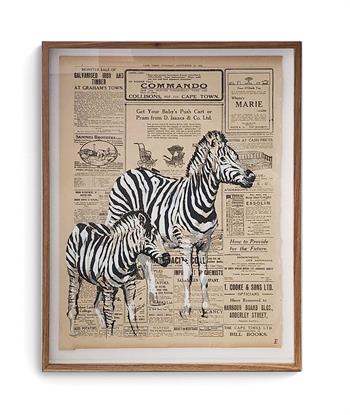 framed painting of two zebras on vintage Cape Times newspaper by Lisette Forsyth