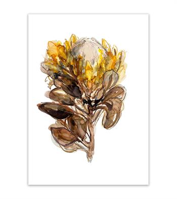 Yellow Protea - Ink On Yupo by Pascale Chandler