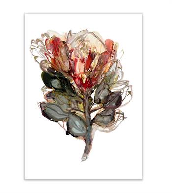 a painting of a Suikerbos protea flower in ink on paper