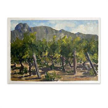 oil painting on paper of the vineyards at Groot Constantia