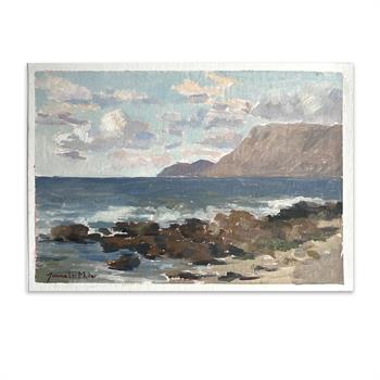 painting of the coastline around St James in South Africa, with a cloud filled sky