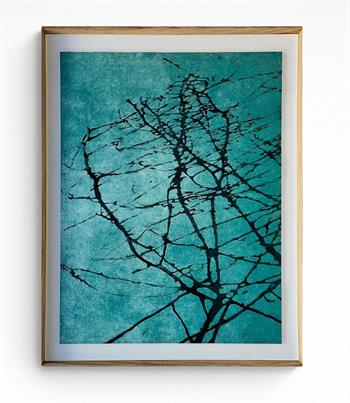 framed artwork on paper of a the shadow of twigs against a turquoise background