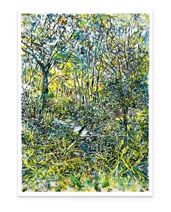 watercolour picture of a forest walk in Newlands by Cape Town artist Karen Wykerd