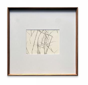 framed art print on paper depicting a detail of river reeds