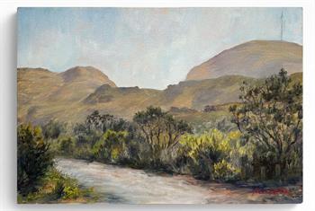 oil painting en-plein-air of the landscape at Silvermine, Western Cape