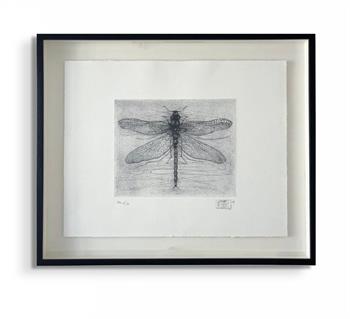 delicate and detailed artwork in black and white of a dragonfly