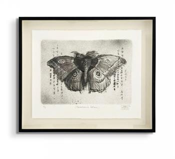 framed artwork on paper of an emperor moth in black and white