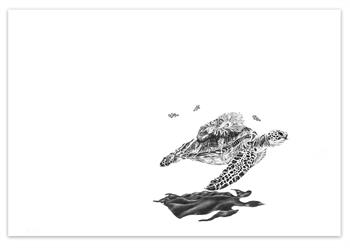 Kendall-Leigh Nash, Sanctuary, graphite drawing of a sea turtle carrying coral and marine life on its shell.