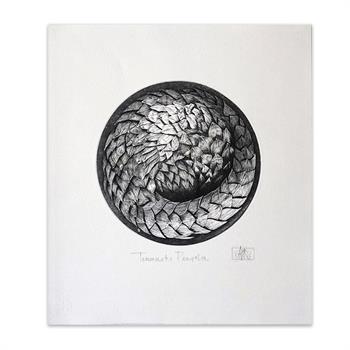 Temminck's Pangolin I - Handmade Print by Andie Rodwell
